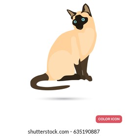 Siamese cat color flat icon for web and mobile design