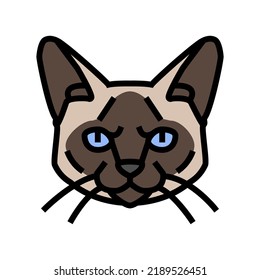 siamese cat cute pet color icon vector. siamese cat cute pet sign. isolated symbol illustration