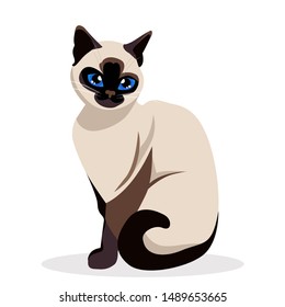 Siamese cat. Cute siam Kitty sitting isolated on white. kawaii vector illustration