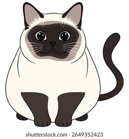 Ilustração do gato siamês bonito.Vetor isolado.