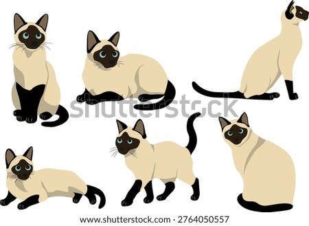 Siamese Cat in different poses vector illustration