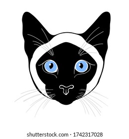 Siamese cat,  cat face.  Hand-drawn vector illustration on  white.