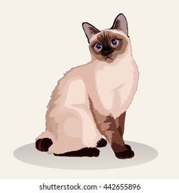 Siamese Cat. Favorite Pet Breed. Realistic Vector Illustration.