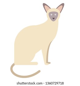 Siamese cat flat illustration on white