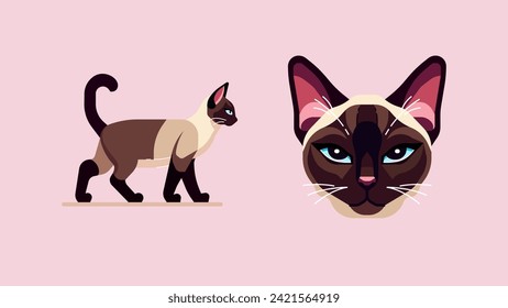 Siamese Cat in Full Glory And A Close-up View of a Siamese Cat Face, Flat Character Design