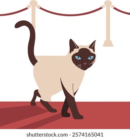 Siamese cat gracefully walking on a red carpet, perfect for elegant digital artwork.