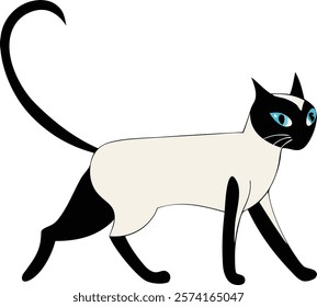 Siamese cat gracefully walking on a red carpet, perfect for elegant digital artwork.