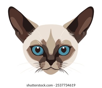 Cabeza de gato siamés. Vector aislado ilustración.