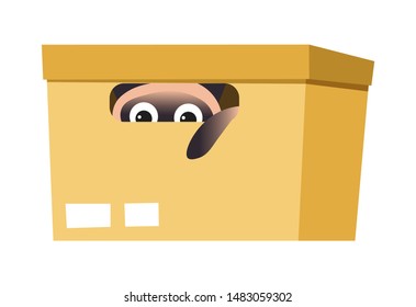 Siamese cat hiding in box isolated animal inside closed cardboard container vector cute pet. or domestic mammal looking through hole game adorable kitten with paws whiskers and muzzle feline having fu