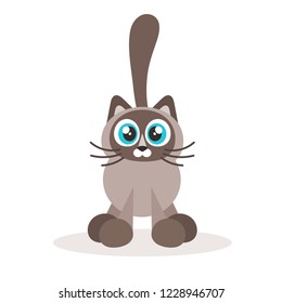 Siamese cat icon isolated on white