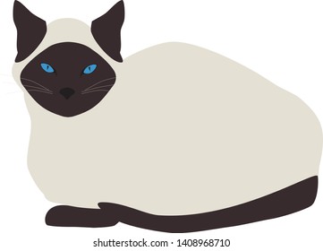 Gato siamés aislado de fondo blanco. Icono de gatito tailandés, vectorial eps 10