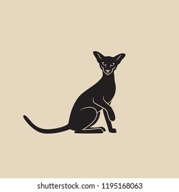 Siamese cat - isolated vector illustration