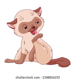 Siamese Cat Licking Paw. Cartoon Vector Illustration