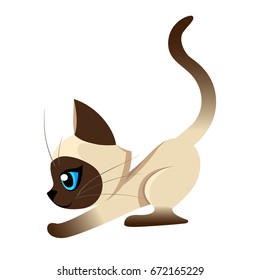 Siamese cat the Lovely kitten with blue eyes fluffy on a white background spotty a pet Cat breeds cute pet animal set vector illustration Web site page and mobile app design vector element