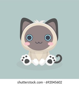 Siamese cat the Lovely kitten with blue eyes fluffy.