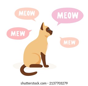 El gato siamés maullando y hablando. Gritos de mascotas hablantes, llorando y llorando mucho. Vector