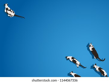Siamese cat on blue gradient background. Flat style image with shadow. Funny animals walking. Vector illustration. Pet cartoon wallpaper. Top view backdrop.