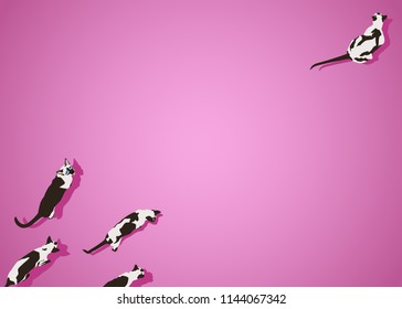 Siamese cat on pink gradient background. Flat style image with shadow. Funny animals walking. Vector illustration. Pet cartoon wallpaper. Top view backdrop.