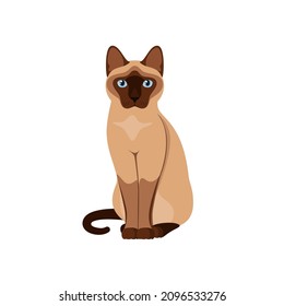 Siamese cat on a white background. Cartoon design.
