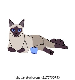 Siamese cat on white background. Pet character animal flat illustration