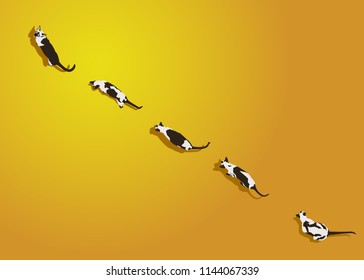 Siamese cat on yellow gradient background. Flat style image with shadow. Funny animals walking. Vector illustration. Pet cartoon wallpaper. Top view backdrop.