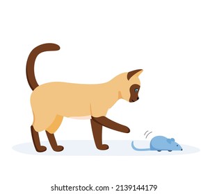 Siamese cat playing with automatic toy mouse. Activity for indoor pet. Interactive cat supplies and accessories. Flat style vector