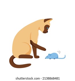 Siamese cat playing with toy mouse. Activity for indoor pet. Cat supplies and accessories. Flat style vector 