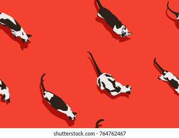 Siamese cat seamless pattern on red background. Flat style with shadow. Funny animals walk. Vector illustration. Pet cartoon texture for print, banner, postcard, card, wallpaper, web, gift pack.