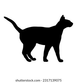 Siamese cat silhouette cat breeds vector