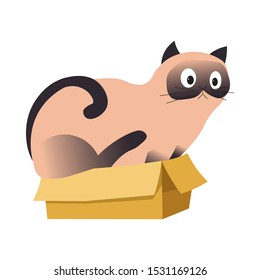 Siamese Cat Sitting In A Cardboard Box, Too Big To Fit There, Cute Pet With Surprised Expression, Schrodinger Concept, Animal Art, Colorful Flat Vector Illustration On White Background