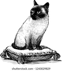 Siamese cat sitting on a pillow