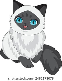 Siamese cat with a smiling face