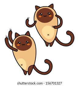 SIAMESE CAT stand and sharpen claws