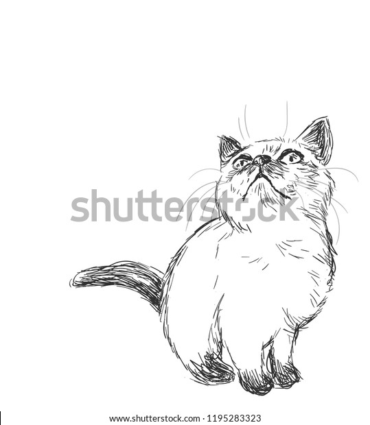 Siamese Cat Vector Sketch Illustration Card Stock Vector