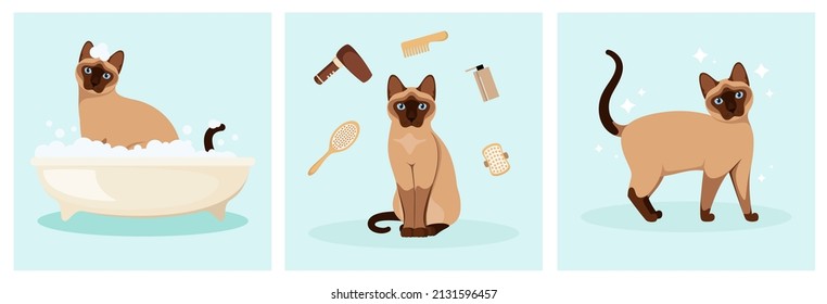 Siamese cat washes in the bathroom. Grooming. Cartoon design. Vector illustration.
