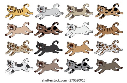 Siamese cats