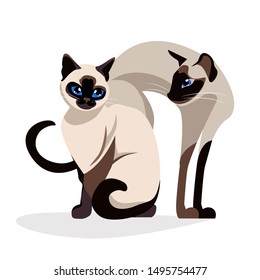 Siamese cats love.Romantic Couple of siam Cute elegant, graceful cats. isolated vector. kawaii illustration