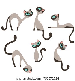 Siamese elegant cat set