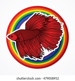 Siamese fighter fish designed on rainbows background graphic vector.