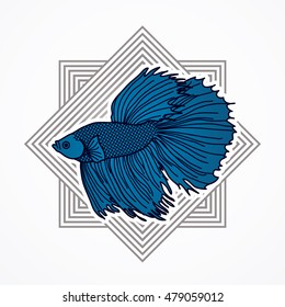 Siamese fighter fish designed on line square background graphic vector.