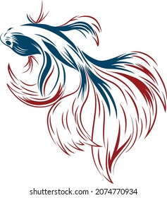 Siamese Fighter Fish Illustration - Betta Fish