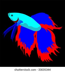 Siamese Fighting Fish