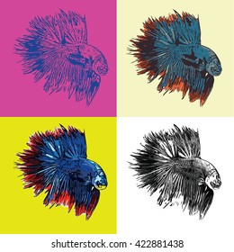siamese fighting fish, betta fish eps10 vector