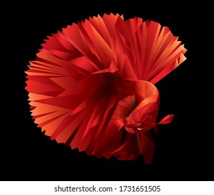 Siamese fighting fish in cubism style with color background