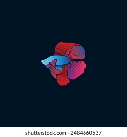 Siamese fighting fish with gradient blue and red colors