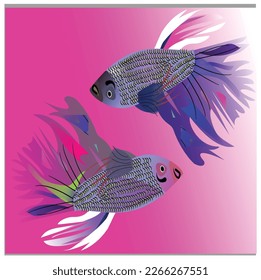 Siamese fighting fish icon 
design vector template