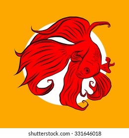 Siamese fighting fish, illustration Siamese fighting fish isolated
