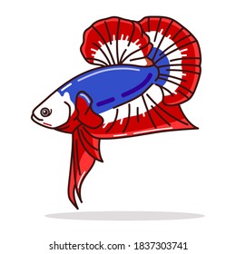 Siamese fighting fish Illustration vector art