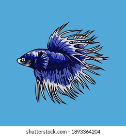 The Siamese fighting fish, also known as the betta, is a freshwater fish native to Thailand and present in neighboring Cambodia, Laos, Malaysia, and Vietnam