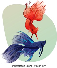 Siamese fighting fishes